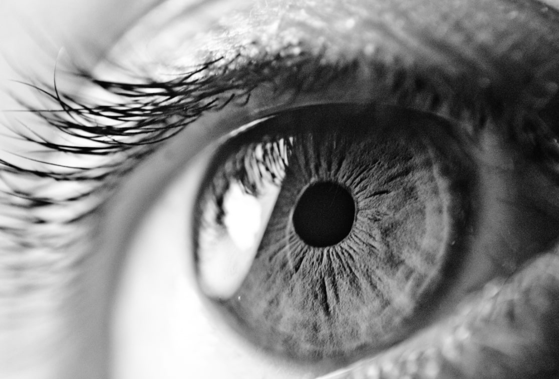 Gros plan en noir et blanc sur un œil, iris et pupille